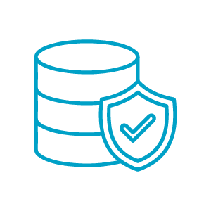 Data-security-icon
