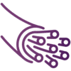 Optical & Fiber networking