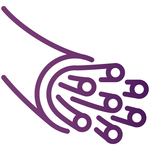 Optical & Fiber networking